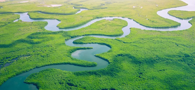 Rivoluzionare l’irrigazione agricola: il ruolo dei tubi e dei raccordi in PVC